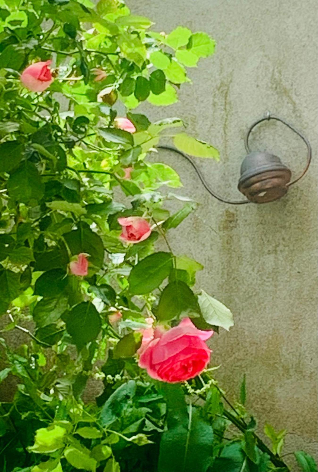 Ibis Rouge Villa Villars-les-Dombes Buitenkant foto